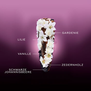 Ginza Night Eau De Parfum Intense, 