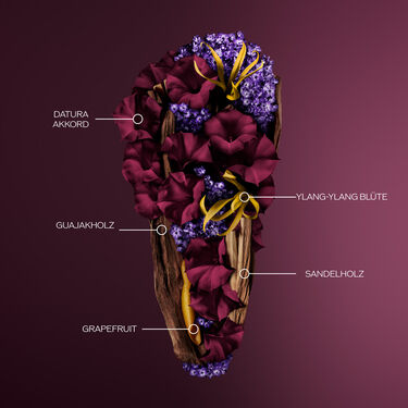 Ginza Datura Eau De Parfum, 