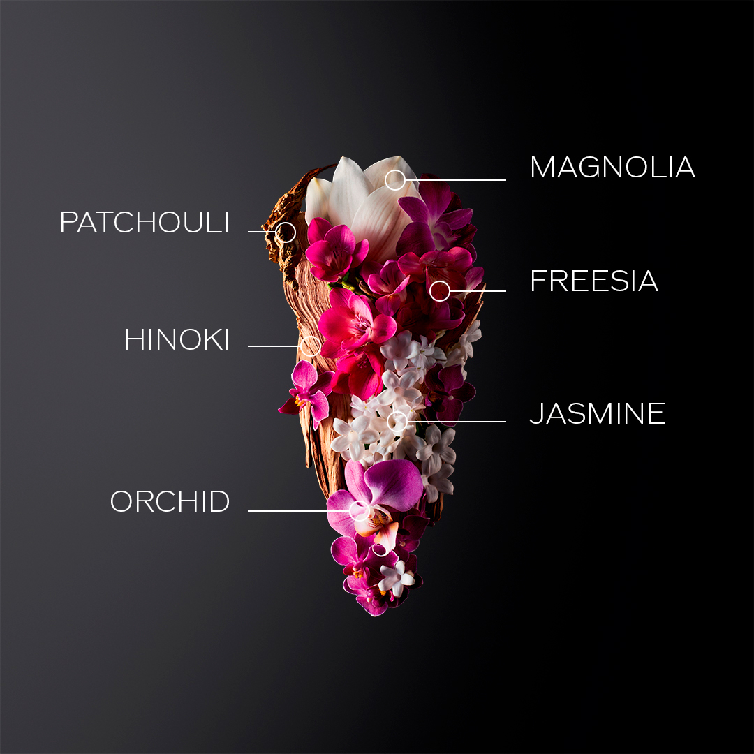 Ginza EDP 50ml Holiday Kit, 