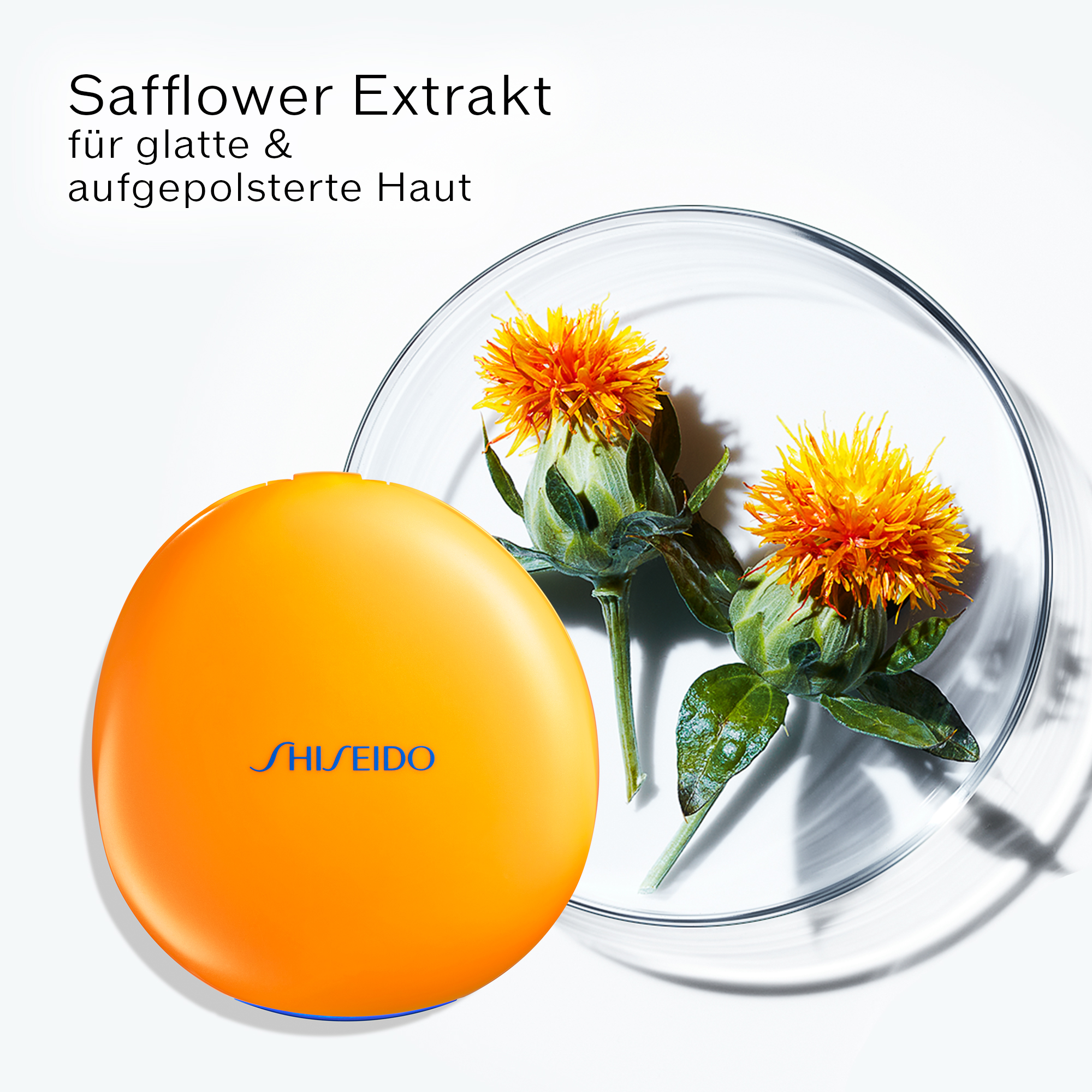 GSC TANNING COMPACT VALUE SET (HONEY), 