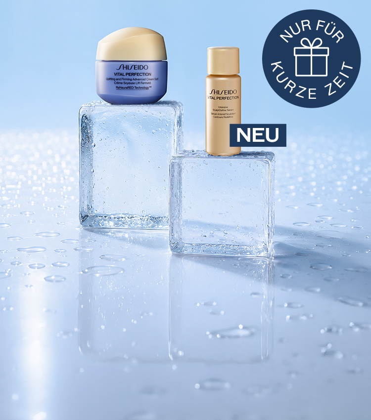 Dein Vital Perfection Geschenk